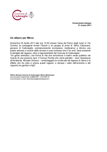 Un albero per Mirco - Comune di Cadoneghe
