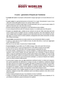 Il cuore – generatore d`impulsi per l`esistenza