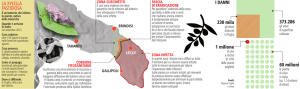 la xylella fastidiosa