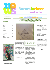 numero SPECIALE NOVEMBRE 2016 festa dell