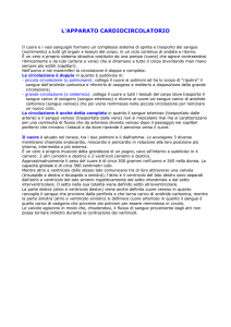Apparato Cardiocircolatorio