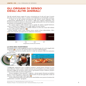 gli organi di senso degli altri animali