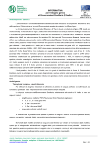 D_1416_72-19_Informativa_HH_II_livello_Rev 1