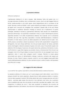 La pressione arteriosa Un viaggio di 96 mila chilometri
