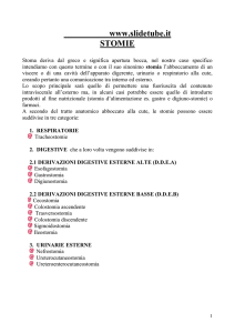 DEFINIZIONE DI STOMIA