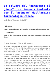 La polvere del “paravento di giada”: un