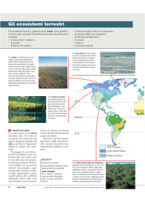 Gli ecosistemi terrestri