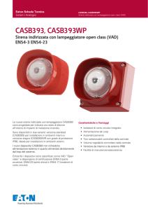 CASB393, CASB393WP