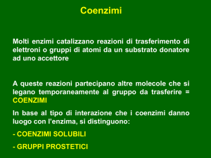 Coenzimi flavinici FMN (Flavinmononucleotide)