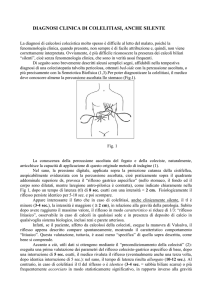 DIAGNOSI CLINICA DI COLELITIASI, ANCHE SILENTE