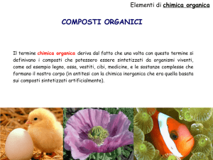 COMPOSTI ORGANICI