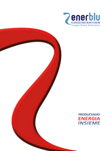 energia insieme - Enerblu Cogeneration