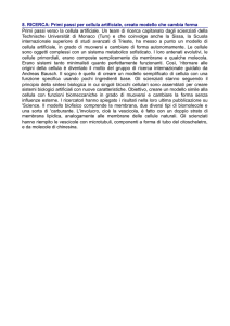 8. RICERCA: Primi passi per cellula artificiale, creato modello che