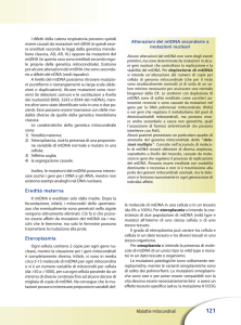 Malattie mitocondriali Eredità materna Eteroplasmia