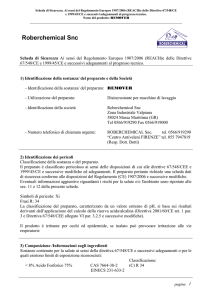 remover - roberchemical.