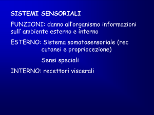 Sensoriale