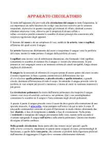 APPARATO CIRCOLATORIO