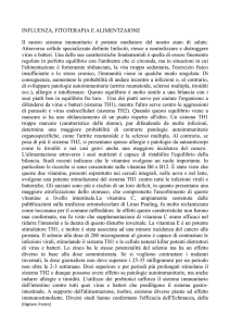Influenza, fitoterapia e alimentazione