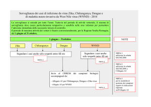 Sorveglianza dei casi di infezione da virus Zika, Chikungunya