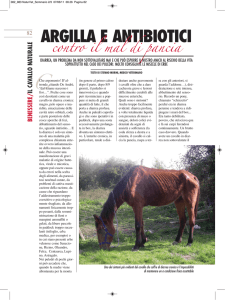 argilla e antibiotici - Morini Stefano, Medico Veterinario, ***NON
