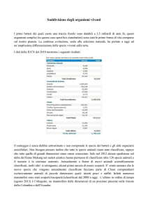 Suddivisione degli organismi viventi, procarioti ed eucarioti File