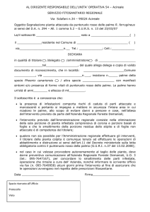 Segnalazione pianta attaccata da punteruolo rosso delle palme R