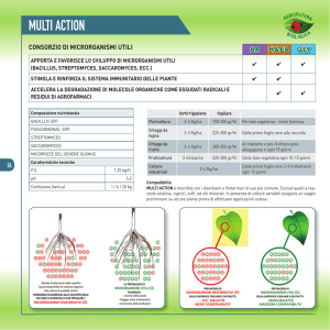 MULTI ACTION