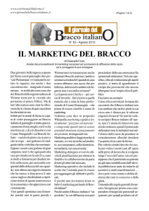 il marketing del bracco - giornale del bracco italiano