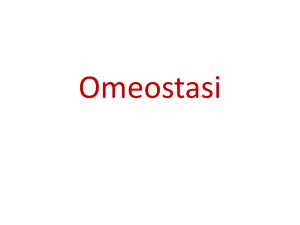 Omeostasi Sistema Limbico Funzioni Superiori Del Sistema