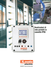 Analizzatori di rete portatili in cassetta IP65