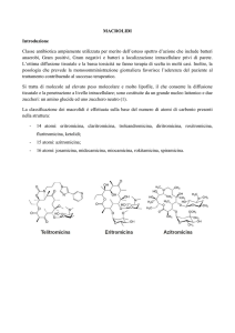 MACROLIDI Introduzione Classe antibiotica ampiamente utilizzata
