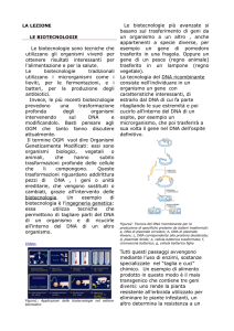 Lezione in PDF