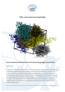 DNA: come azzeccarne il garbuglio