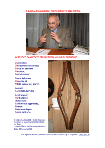 © GAETANO CALABRESE, POETA ERRANTE DELL`IRPINIA