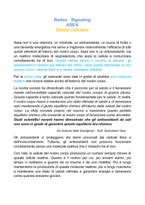 Spiegazione Tecnica