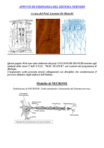 Modello di NEURONE