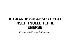 Il grande successo degli insetti sulle terre emers