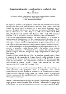 Organismi pionieri e rocce: le patine a ossalati di calcio