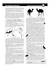 Gli ambienti estremi
