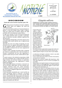 Il fagiolo nell`orto - Scoprire Camminando