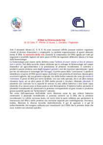 Il DNA: la Chimica della Vita M. Di Carlo, P