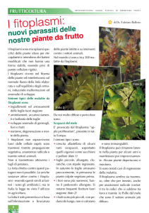 Marzo - Vivaio del Lago Varese