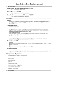 Consulente per le applicazioni gestionali