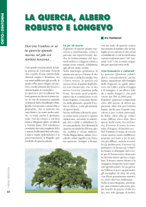 LA QUERCIA, ALBERO ROBUSTO E LONGEVO LA QUERCIA
