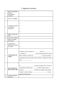 L`apparato tegumentario