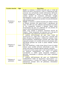 Carattere inserito