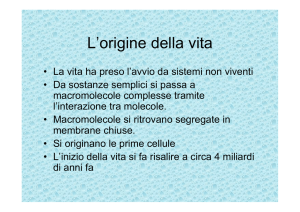 L`origine della vita