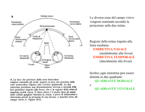 Le diverse zone del campo visivo vengono nominate secondo la