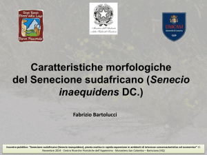 Diapositiva 1 - Parco Nazionale del Gran Sasso e Monti della Laga
