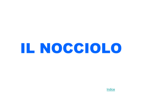Nocciolo - barbescuola